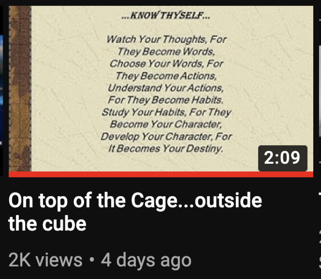 FYI: On top of the Cage…outside the cube
